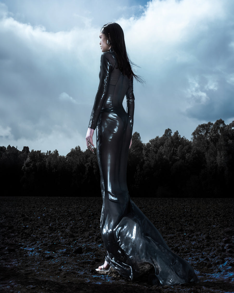 LIQUID SHEER DRESS